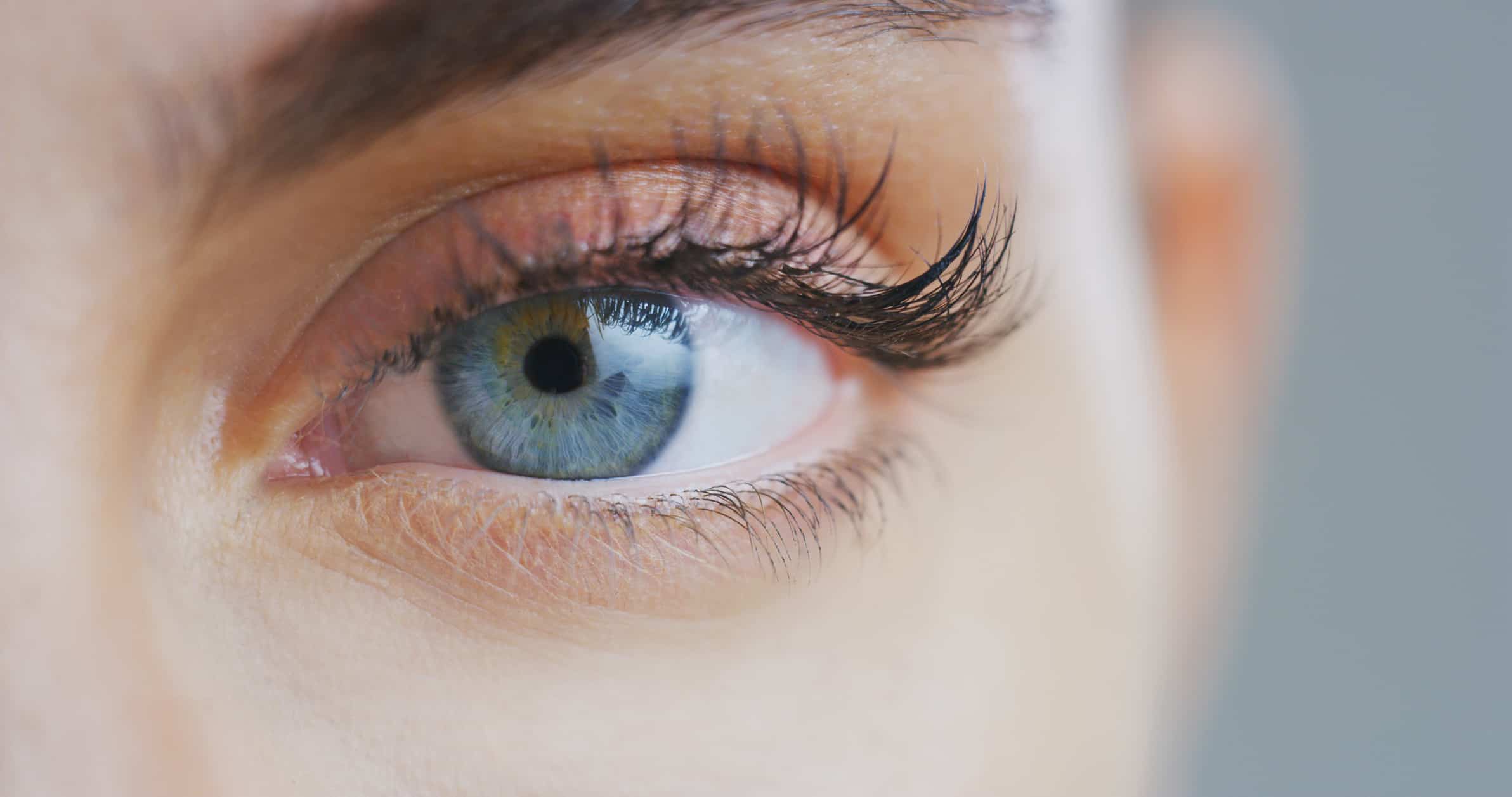 Macro close up of beautiful eye with perfect makeup